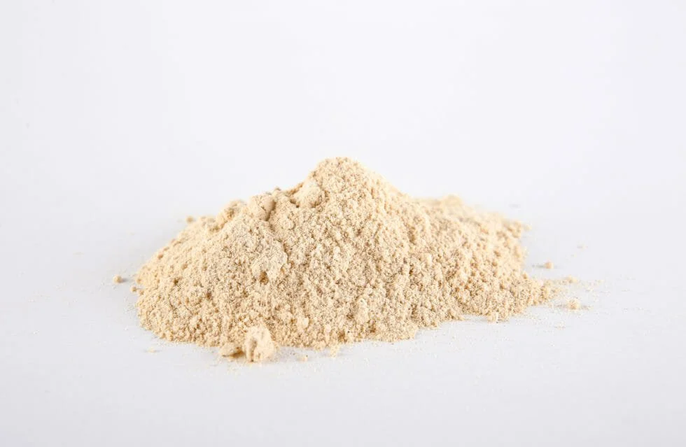 Ganoderma-kupac-980x639.jpg